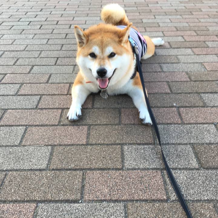 56b6c648 609d 45ac 8838 0030d7d91e7d 1532984860041