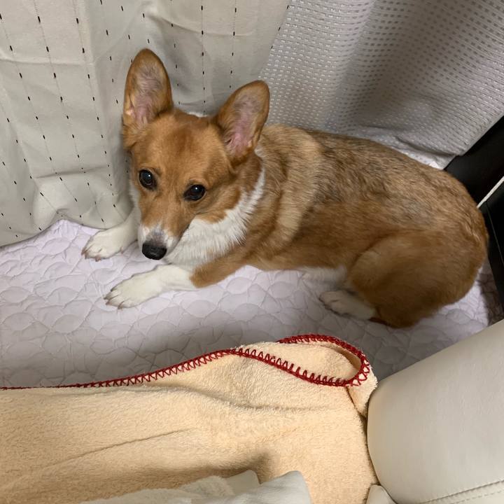 56b6e4c0 62b3 49b3 96dd a2c92610931a 1567412078957