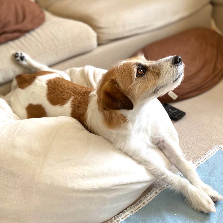 56b71476 e9cf 429e a887 7b33864c76ad 1586571533093