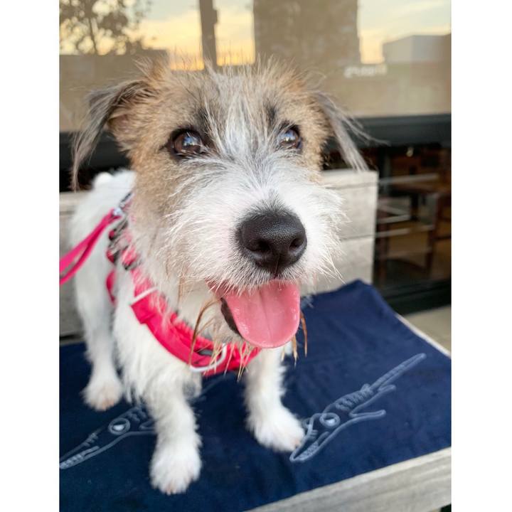 56b728f7 fd1c 4464 a67b ad114badc1d0 1570285154367