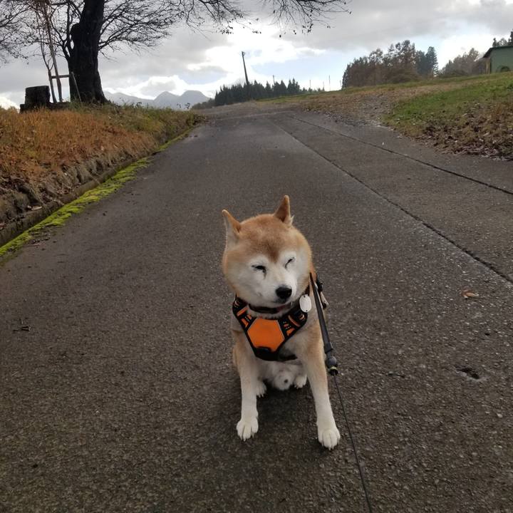 56b74d59 a334 4c49 be00 dca50c6eca52 1732441705489