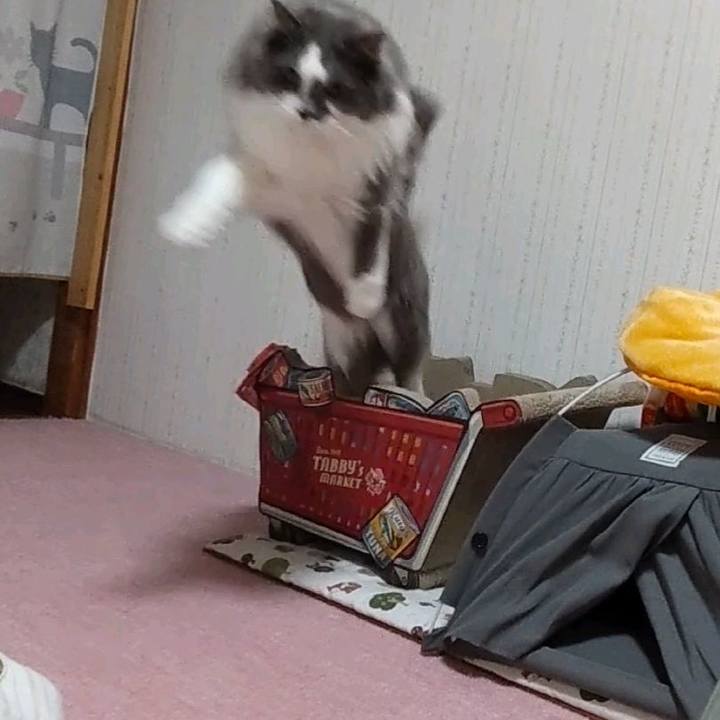 56b74f66 74f5 4845 bab7 c2d49f3e4b29 1648032871866