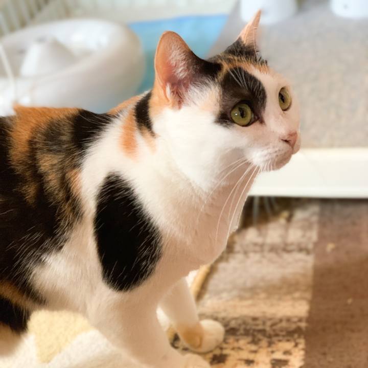 56b77a67 bfe3 4167 9e67 06829a4febbe 1576805867670