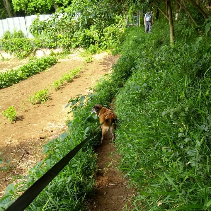 56b782d0 b8ce 4463 b8f6 c1b0173ad763 1559606928679