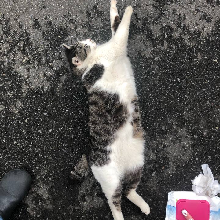 56b78de1 87b4 4135 a597 a583985ecc17 1588590625176