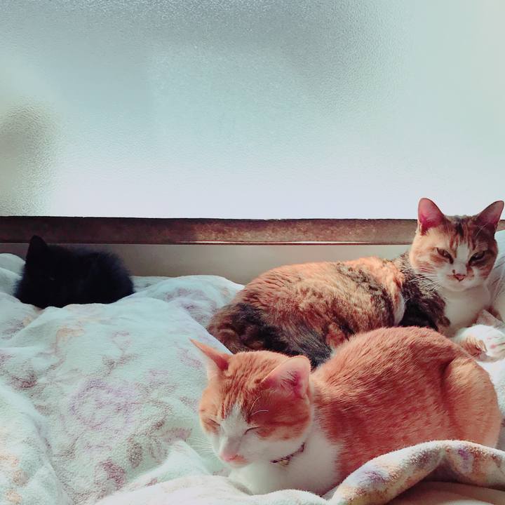 56b79026 47d4 4759 aa0c 47b7e64a21eb 1511055506766