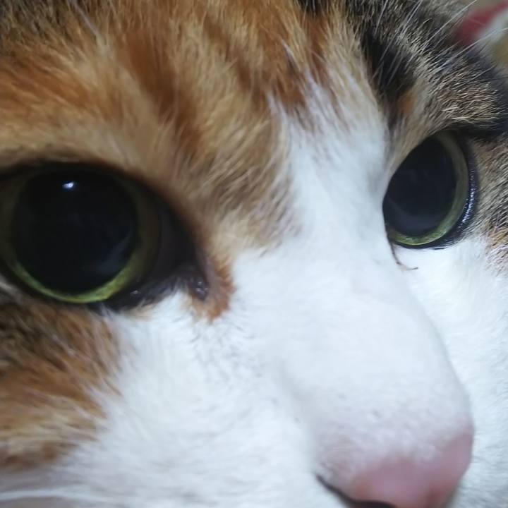 56b7a32b 0b45 46c4 b9e1 5d0509454f28 1575677959449