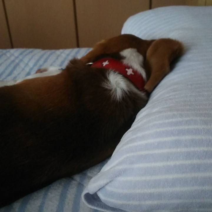 56b7bc13 f397 4114 8834 78f389fa06a1 1653612924368