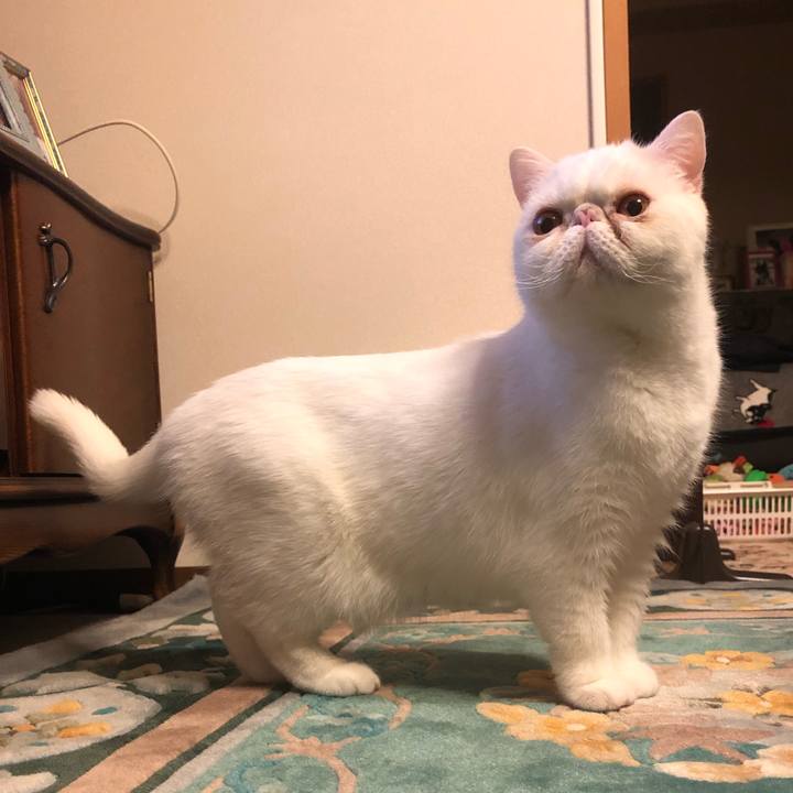 56b81cfd 5a21 4a13 93f8 2e563dc2c9d1 1646657614451