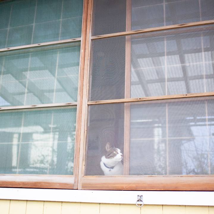 56b838e3 86fa 4498 a7e6 5b08c76b7a59 1549942174836