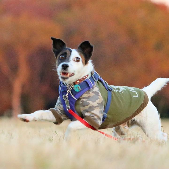 56b851f6 e052 4bf1 9419 1c91ae186612 1638626831060