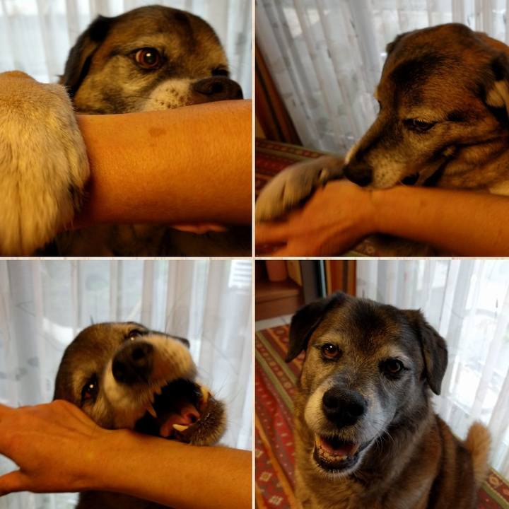 56b8ac39 5877 4b54 88f3 22a3688be756 1525750179208