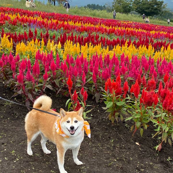 56b8be1c 1c33 41b0 bdd0 d064c2ab261f 1631420969724