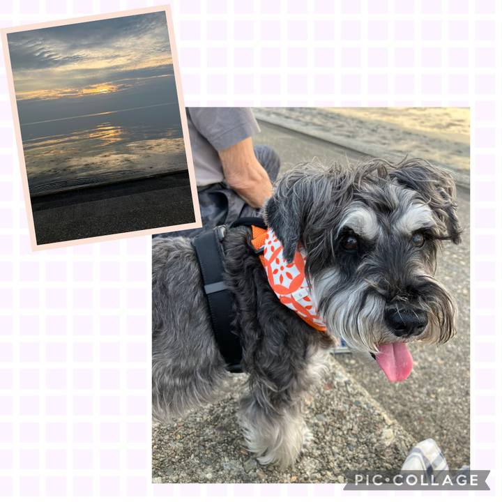 56b8f698 05f5 438c a115 04decc266351 1750685925545