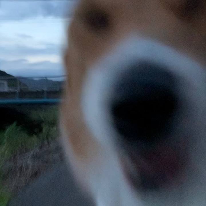 56b8f98c a37e 47fd 9ed1 7885388d09a6 1694425542259