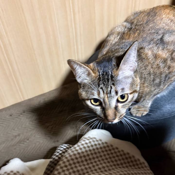 56b90ad6 b94b 42d3 bbaa c3d8b38213ef 1764371092491