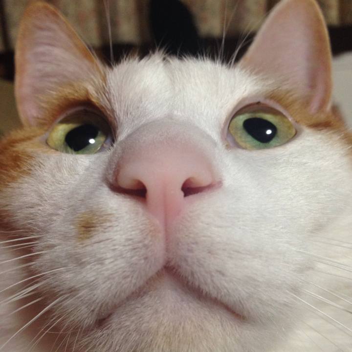 56b925ea 9d4c 4b64 8125 2550d781c432 1517259788123