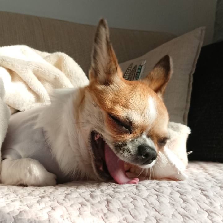 56b94645 f105 4b05 987b 062cad68dc4c 1572592867075