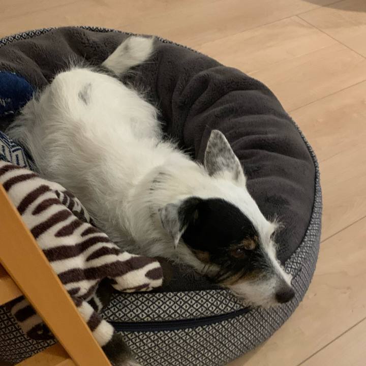 56b94af8 8cc5 4dc5 9d16 2062f9cdc40a 1727861806534