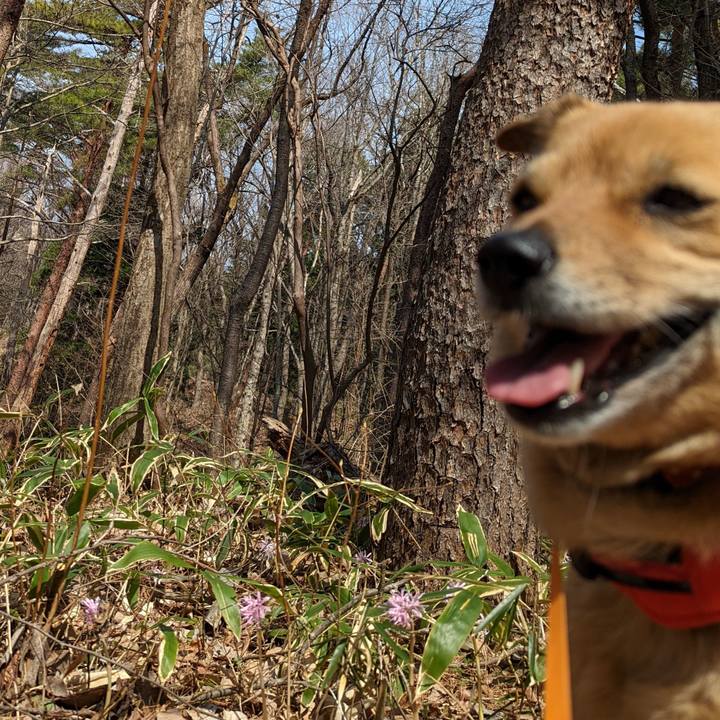 56b94c74 839f 4098 9eb1 4b037f8d4291 1649322588720