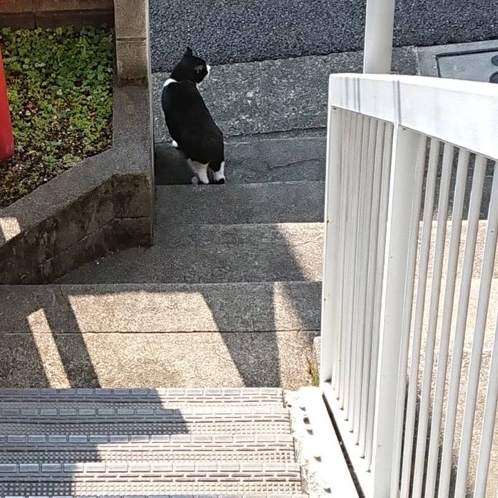 56b95d5f 16c4 4377 ad68 a4cefadf0336 1621894425642