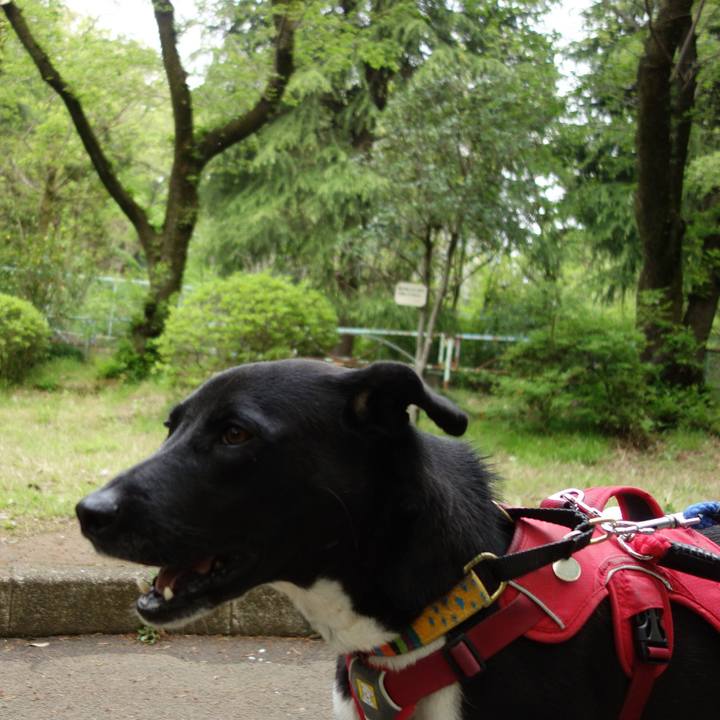 56b98cfa e3cc 4ea6 b505 7634ab8f8286 1587515892676