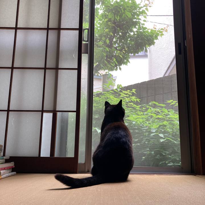 56b99263 ff19 4409 a164 f5d0774ec6ad 1620173669854