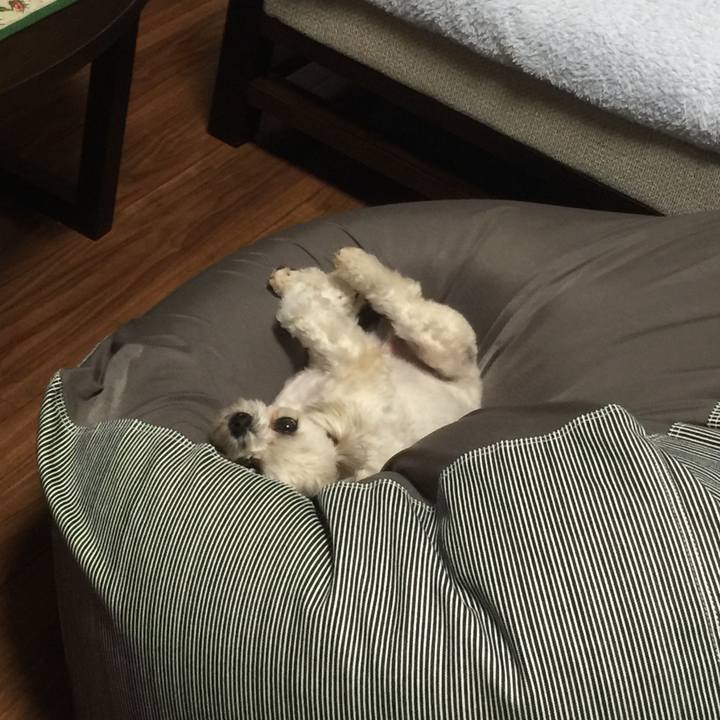 56b998b7 1d03 4eb6 af90 9e746937ad81 1520173063421