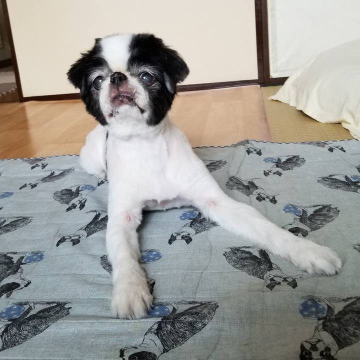 56b99949 eaee 4757 b6dd fe1935f2081b 1568449794479