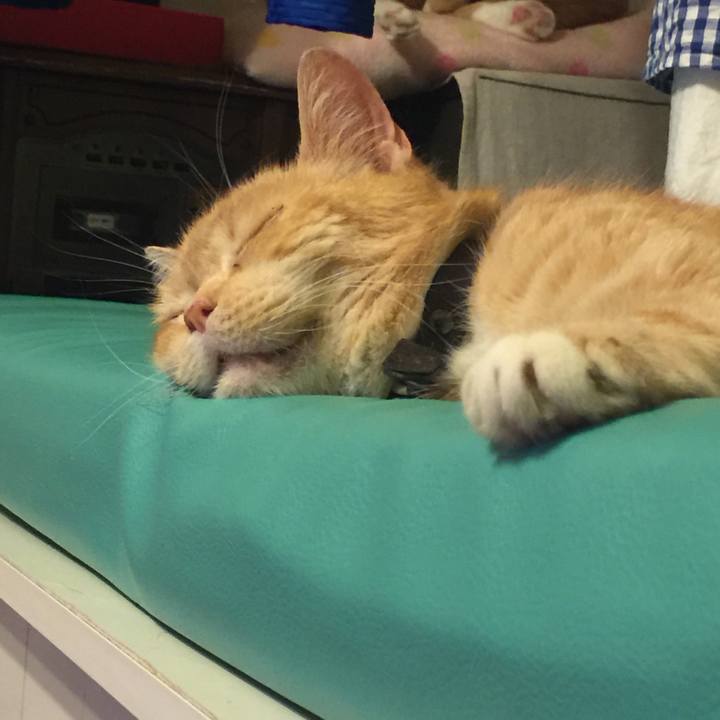 56b9ad39 a7e6 4678 9011 a5d9fe2d6ad4 1559818150625