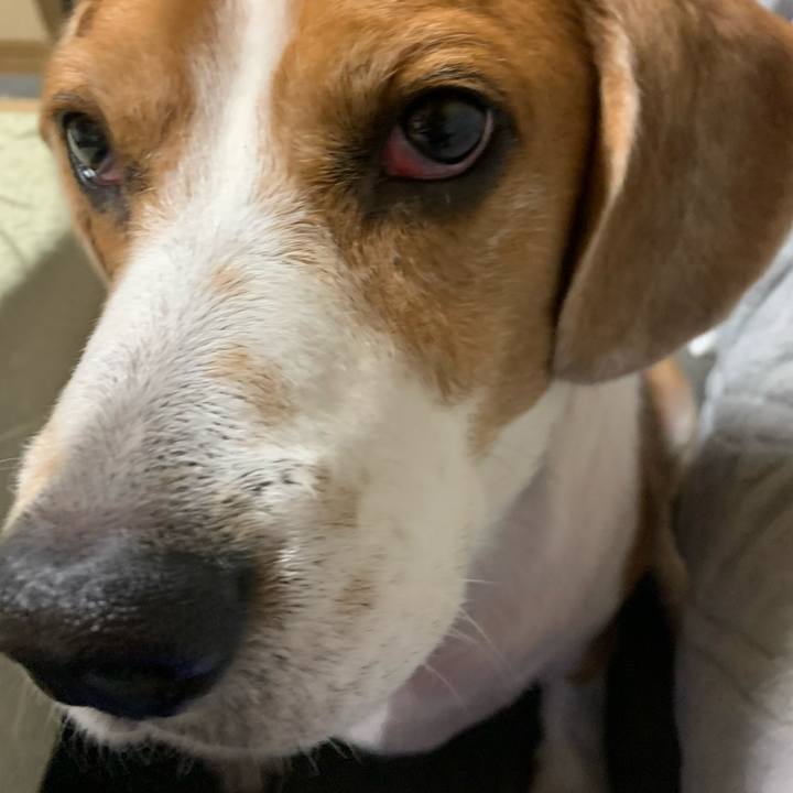 56b9dc0f 434d 4a9e a5cb df6965622be5 1686058394006