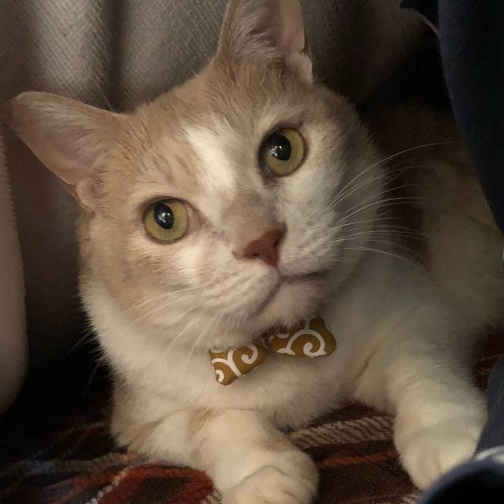 56ba19d0 b3f7 4157 9701 e459072ce516 1576280328722