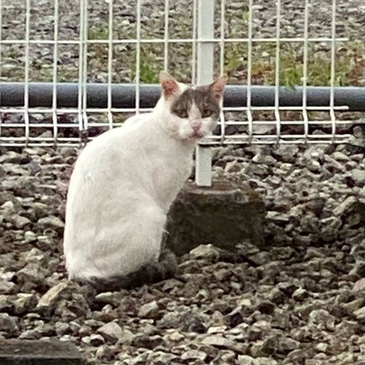 56ba3abc 61d9 4ba7 9763 e92bbfb3531b 1631524808800