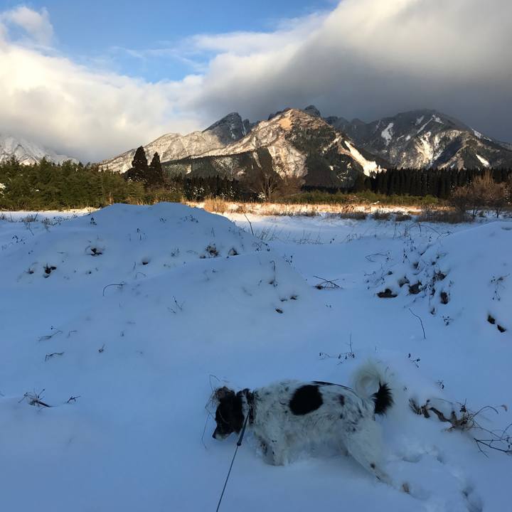 56ba5dc8 4ed8 40c0 abba 4aa43bde979b 1515735745814