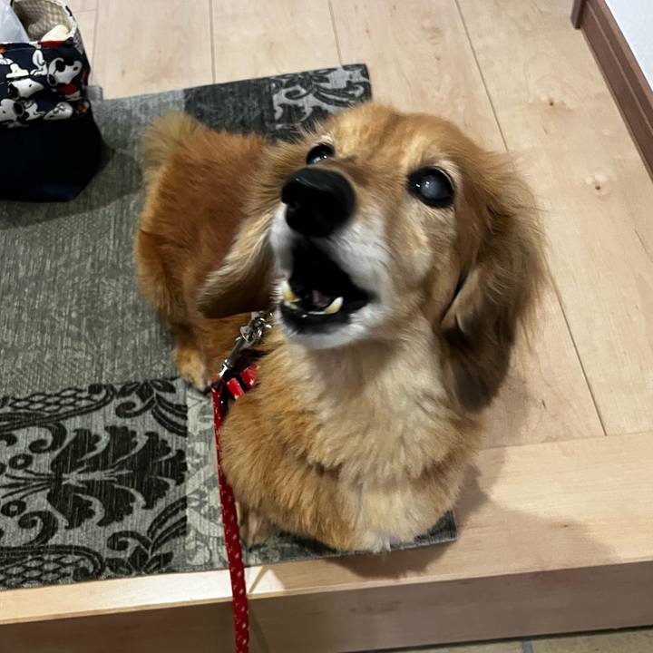 56ba8bb1 bcac 4cc5 98a2 3f5b5e2bc0cb 1653656853845