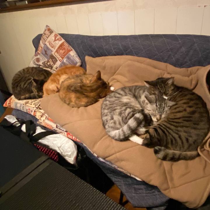 56ba907a b58f 4c18 ad74 dc654e3e98e3 1583493500472