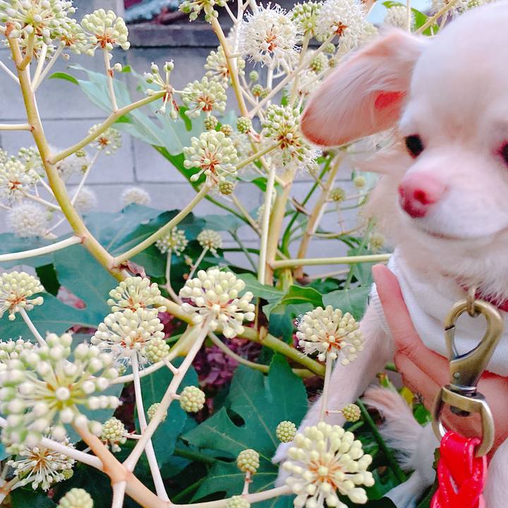 56ba96ab 9577 4b37 99e6 5bdf36bc5ca6 1637803354188