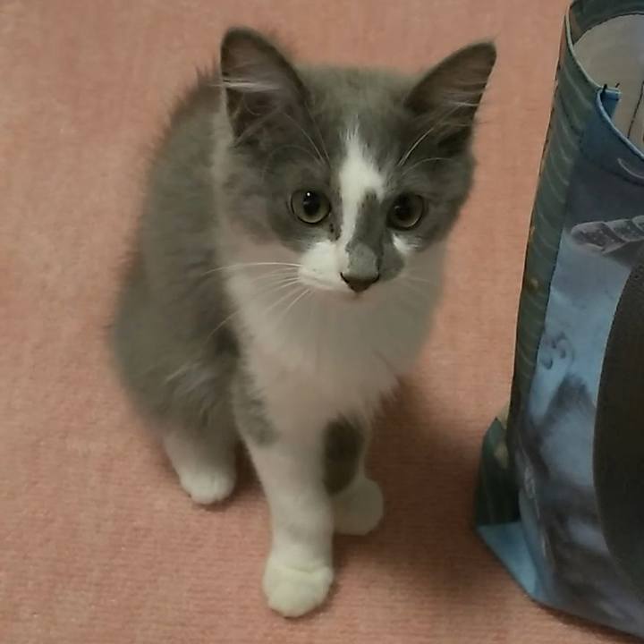 56baa5ff 54b0 434b 92b2 3614e1bd1ffa 1564610375989