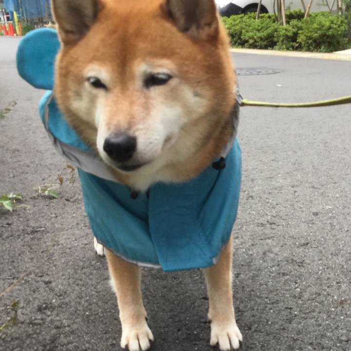 56baaa23 98d7 47b9 976c ae1f0c5cf622 1595840521237