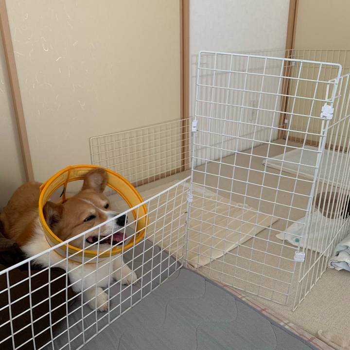 56bab2e5 a91b 4219 bb21 20b6ea7949b6 1688295341394