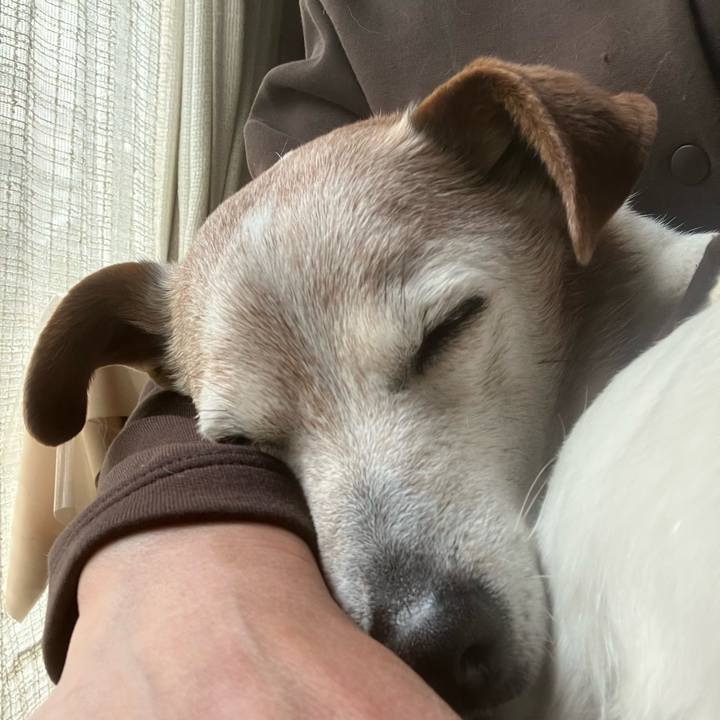 56bac264 3954 45dd 934e c98d7e65fb83 1775088067836