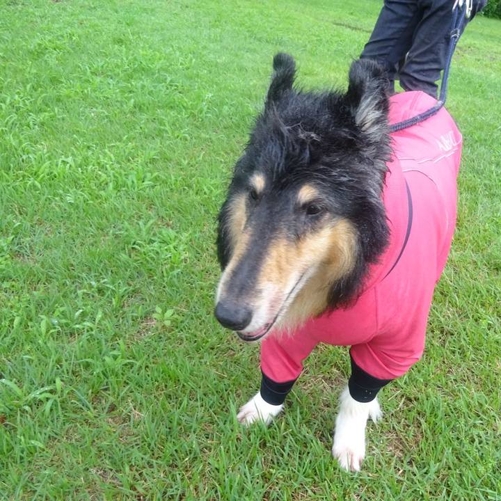 56baebc5 167f 4be4 a7bf 4dad34f178a3 1595762875354