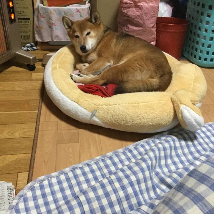 56bb18b1 29f3 4fe8 83da f8de30099ff2 1575191161579