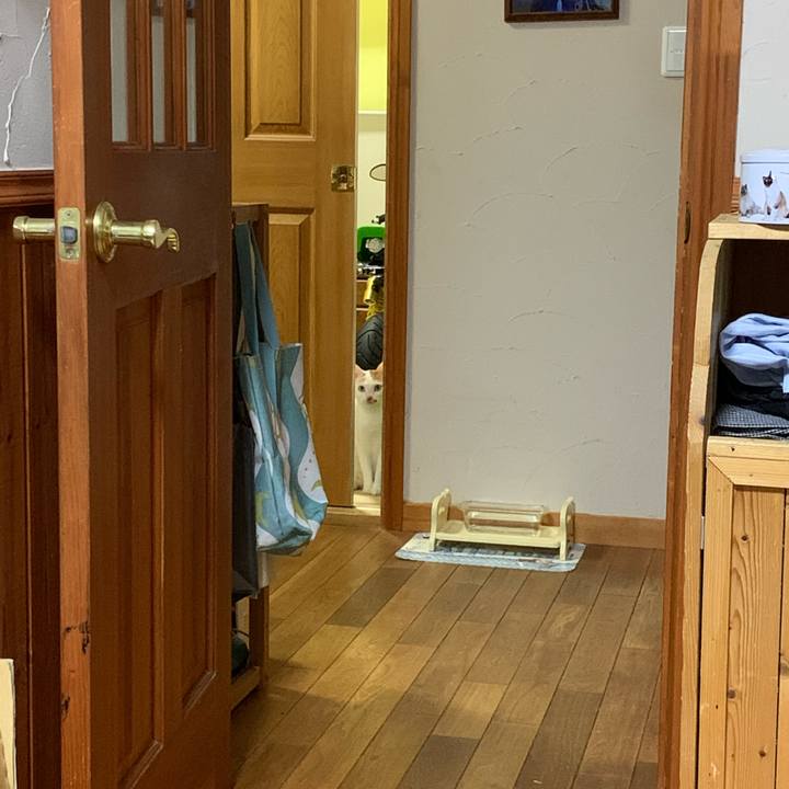 56bb2150 0474 4422 8bd4 e23c56a7b3c7 1614503687896