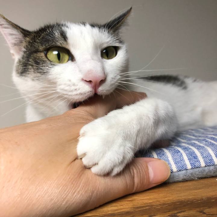 56bb4389 ec8a 4222 b930 5cbd15002bef 1689078554564