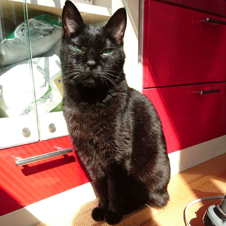 56bb5d2a 1bc9 44eb a14a 44209660ee12 1536640973739