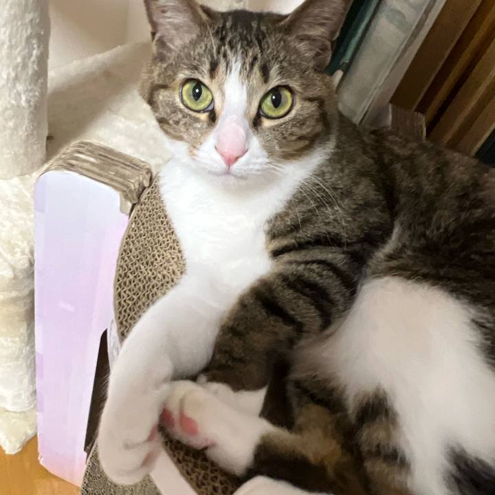 56bb89e0 360a 4662 8e43 f9ca8c284ce1 1751632869827