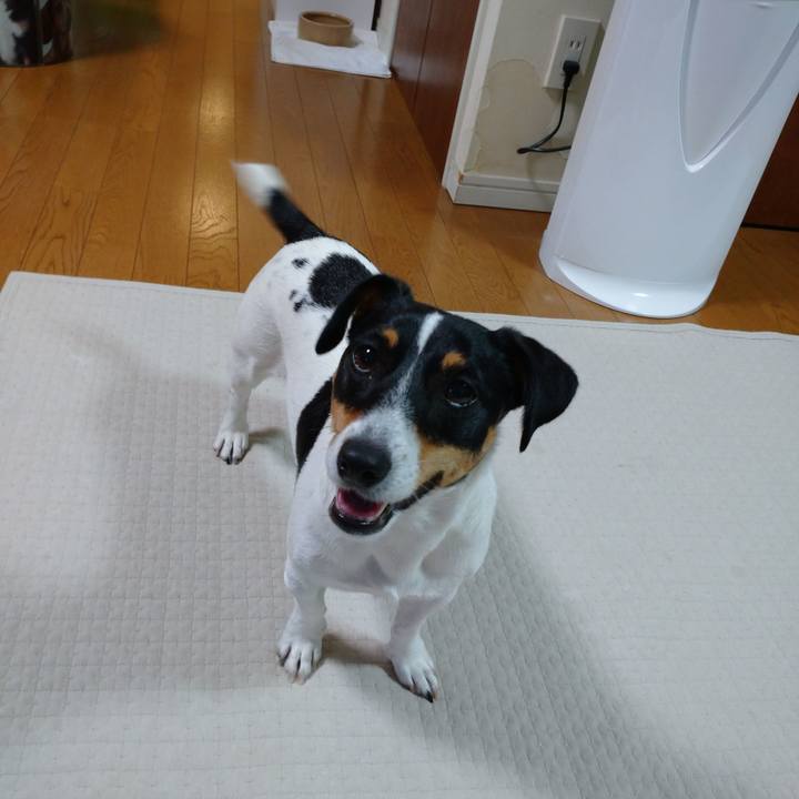 56bbbca8 fba4 4456 b198 37882c256710 1633615636193