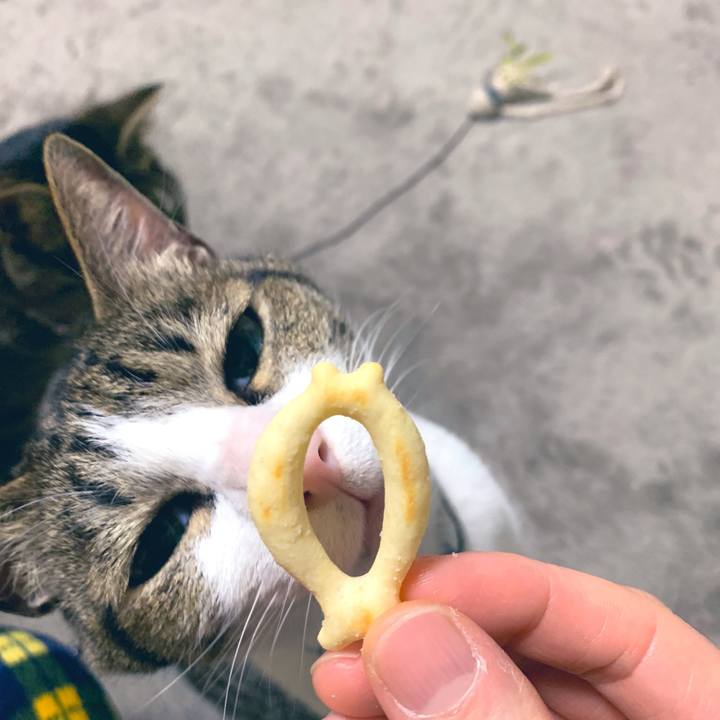 56bbf04d d7c2 46fa bea8 7be6f30e1253 1555113985800