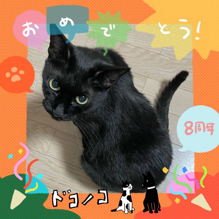 56bc15f8 0640 4e29 8684 eb5140fb2f08 1717770345792